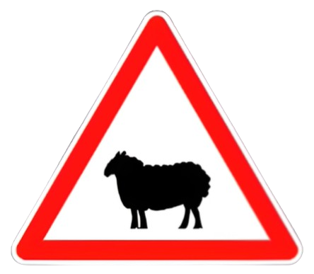 خطر مرور الحيوانات الأليفة