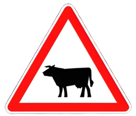 خطر مرور الحيوانات الأليفة