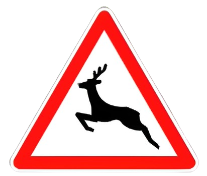 خطر مرور حيوانات متوحشة